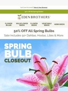 50% Off 50+ Bulbs