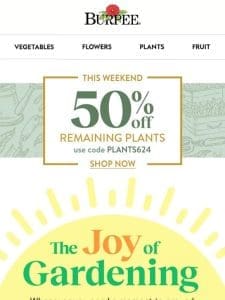 50% off plants now – but hurry
