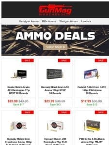 Accurate Rifle Ammo | Nosler Match-Grade .223 Rem 77gr 20rd Box for $27