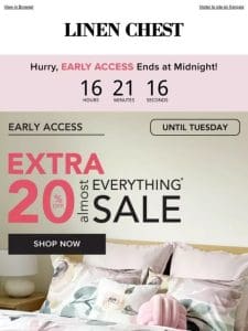 Act Fast? Extra 20% Early Access Ends at Midnight!