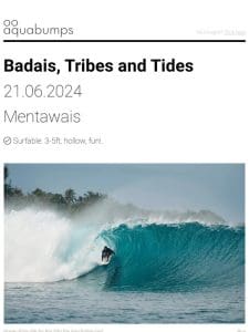 : : Badais， Tribes and Tides