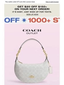 Bags Under $100 ?