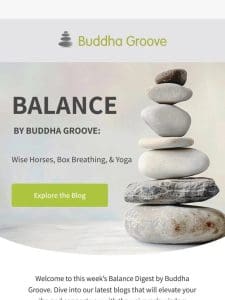 Balance Digest: Wise Horses， Box Breathing， & Yoga