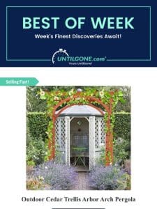 Best of the Week – 53% OFF Outdoor Cedar Trellis Arbor Arch Pergola