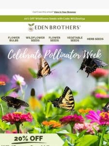? Big Savings for Pollinator Week!