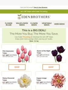 Big Tulip Savings
