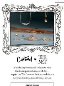 Catbird x The Met is HERE ???