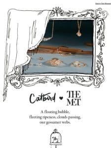 Catbird ☁️✨ The MET