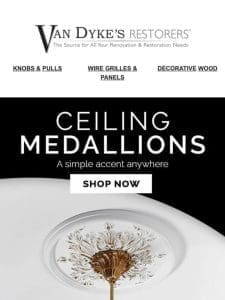 Ceiling Medallions…Simply Elegant