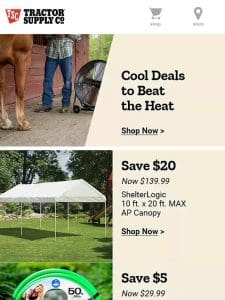 Cool Deals to Beat the Heat