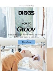 DIGGS Dogs Love Groov ? ?