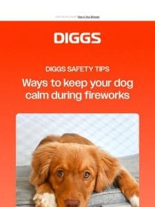 DIGGS Safety Tips: Fireworks