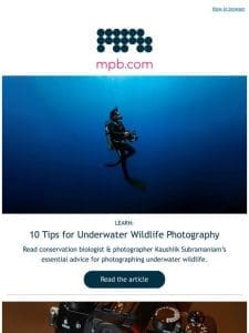 Dive Into Underwater Photography Fun