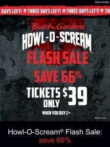 Don’t Miss This Screaming Good Flash Sale!