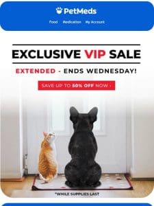 Exclusive VIP Sale – Extended!