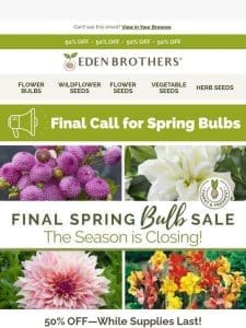 ? FINAL CALL for Spring Bulbs