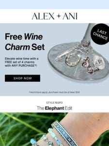 FOR YOU ? FREE Wine Charms