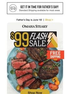 Father’s Day deal: $99 Flash Sale + FREE shipping.