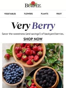 Fill your berry basket