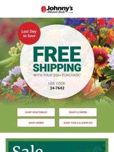 Final Day: Free Shipping Weekend