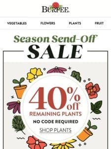 Final hours! Save 40% on plants + 50% on seeds