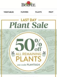 Final hours for 50% off plants ?