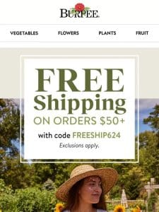 Free Shipping ☀