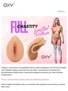 Full Chastity Vagina Shape is released!