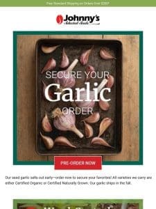 Get Growing Garlic