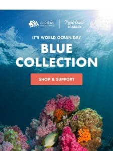 Go Blue for World Ocean Day