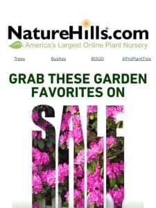 Grab these garden favorites for up to 55% off!
