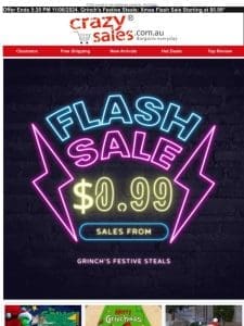 Grinch’s Festive Steals: Xmas Flash Sale Starting at $0.99*