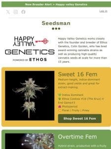 Happy Valley > now available on Seedsman.com