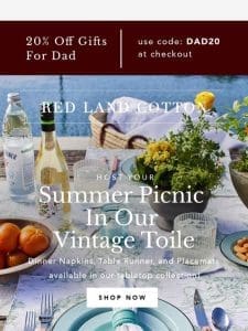 Host Your Summer Picnic In Vintage Toile