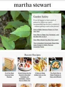 How to Safely Remove Poison Ivy From Your Yard ASAP