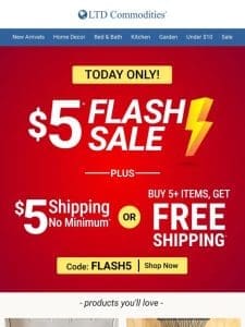 Hurry! $5 Flash Sale Ends Tonight!