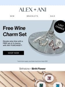 LAST CALL ? FREE WINE CHARMS