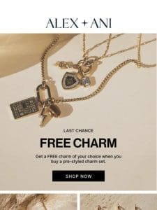 LAST CHANCE   FREE CHARM