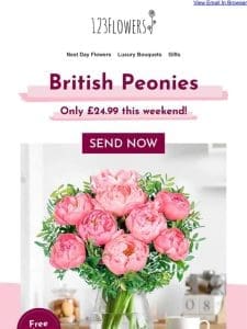 Last Chance For Peonies!