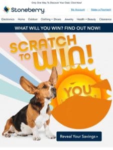 Last Chance To Scratch & Save!