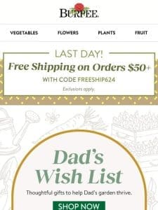 Last day for free shipping