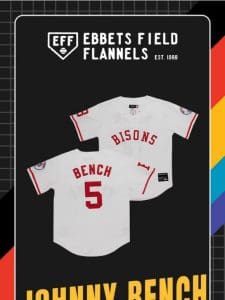 MiLB Vintage Capsule Jerseys ?