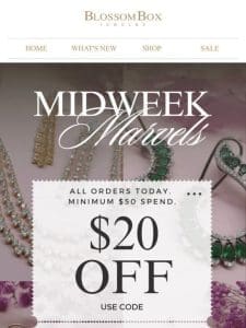 ?Midweek Marvels: $20 Off Today Only! ?