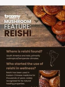Mushroom Highlight: Reishi