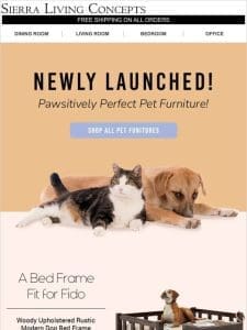 New Category Arrival Alert – Pet Furniture!