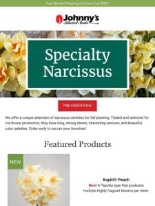 New Narcissus Varieties for Spring