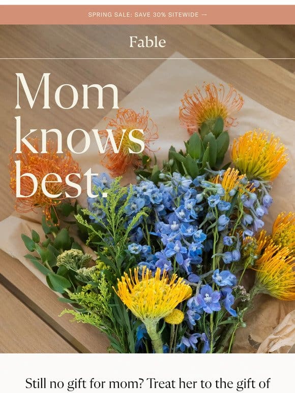 No Gift for Mom? We Got You ?