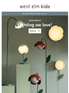 Our lighting collection shines