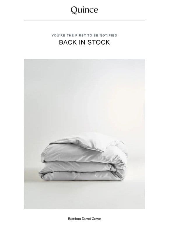 RE: Bamboo Duvet Cover