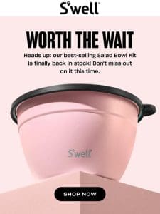 RESTOCK ALERT: Salad Bowl Kits Are Back